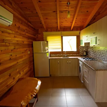 Defne Olive Gardens, Koca Calis, Fethiye