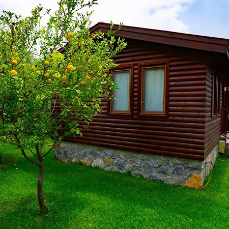 Defne Olive Gardens, Koca Calis, Hébergement de vacances *