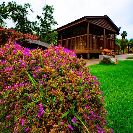 Defne Olive Gardens, Koca Calis, * Fethiye