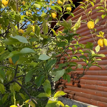 Holiday home Defne Olive Gardens, Koca Calis, - Previously Defne