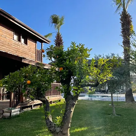 Holiday home Defne Olive Gardens, Koca Calis, - Previously Defne
