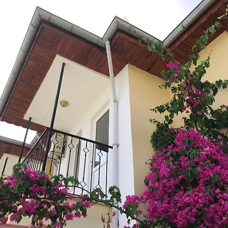 Defne Olive Gardens, Koca Calis, - Previously Defne Holiday home *