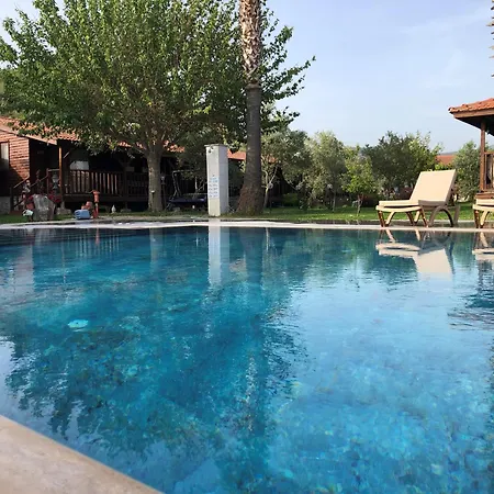 Defne Olive Gardens, Koca Calis, - Previously Defne Fethiye