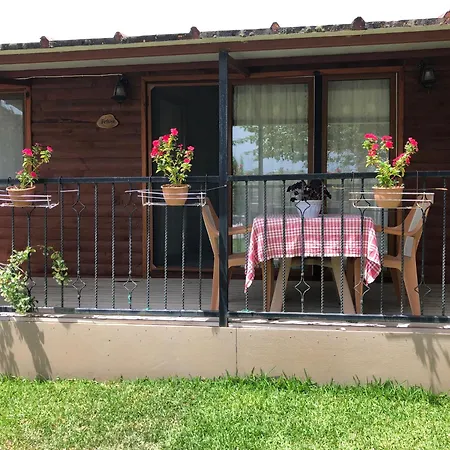 Holiday home Defne Olive Gardens, Koca Calis, - Previously Defne Fethiye