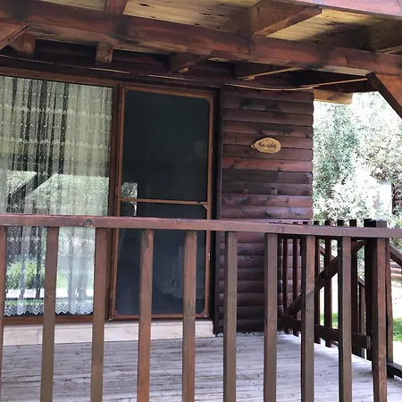 Defne Olive Gardens, Koca Calis, - Previously Defne *