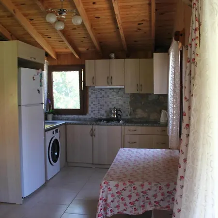 Holiday home Defne Olive Gardens, Koca Calis, - Previously Defne