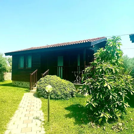 Defne Olive Gardens, Koca Calis, - Previously Defne *