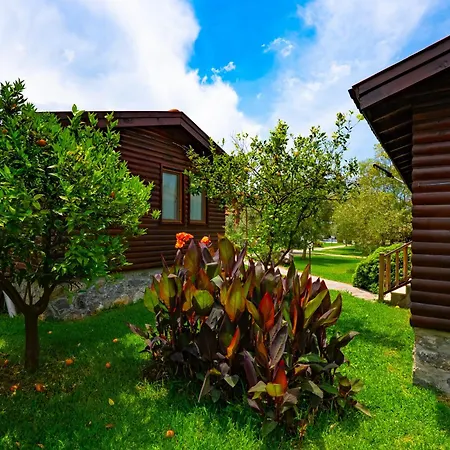 別荘 Defne Olive Gardens, Koca Calis, - Previously Defne