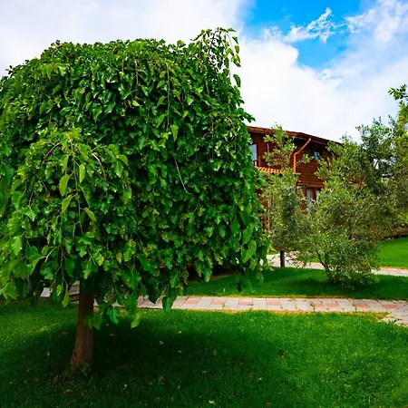 Defne Olive Gardens, Koca Calis, - Previously Defne *