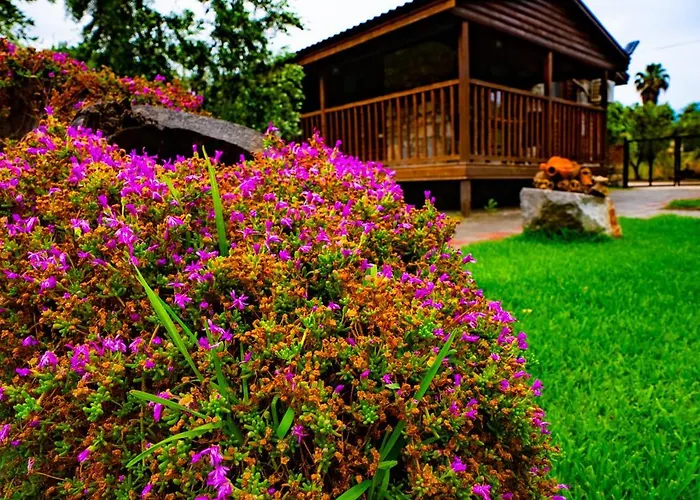 Defne Olive Gardens, Koca Calis, * Fethiye