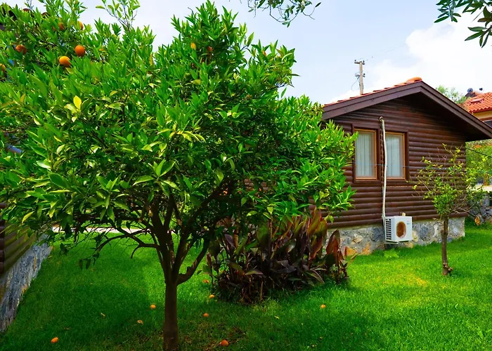 Сasa de vacaciones Defne Olive Gardens, Koca Calis,