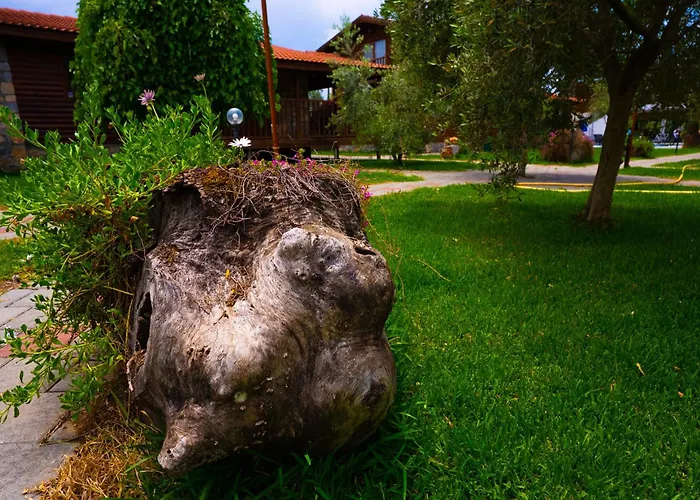 Сasa de vacaciones Defne Olive Gardens, Koca Calis, *