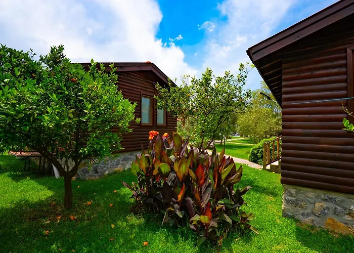 Сasa de vacaciones Defne Olive Gardens, Koca Calis,
