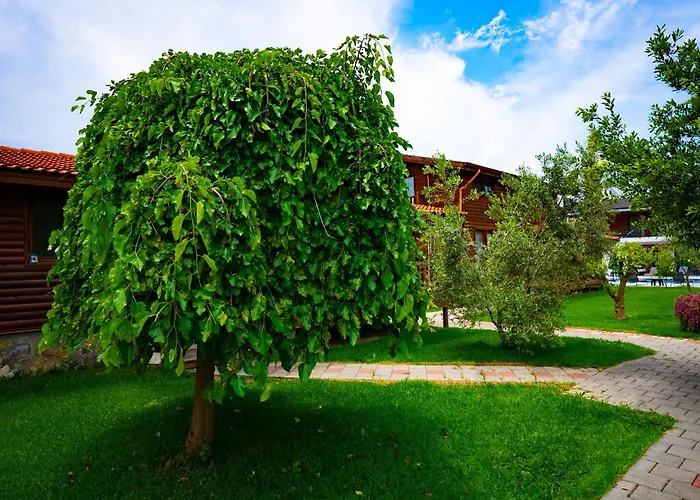 Defne Olive Gardens, Koca Calis, - Previously Defne *