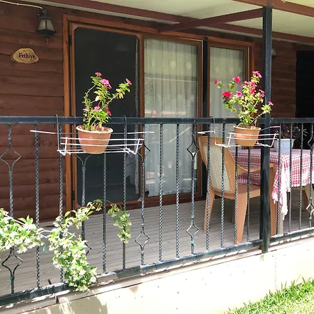 Defne Olive Gardens, Koca Calis, - Previously Defne * Fethiye
