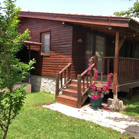 Casa vacanze Defne Olive Gardens, Koca Calis, - Previously Defne *