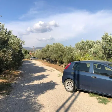 Defne Olive Gardens, Koca Calis, - Previously Defne