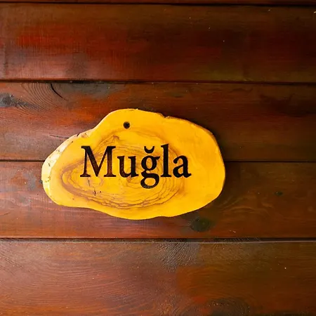 Prázdninový dům Defne Olive Gardens, Koca Calis, - Previously Defne Fethiye