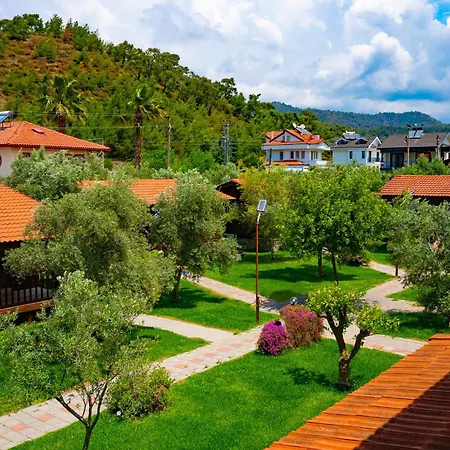 Defne Olive Gardens, Koca Calis, Semesterbostad Fethiye