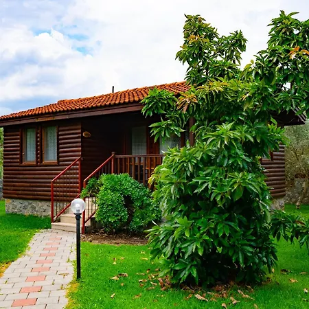 Casa de Férias Defne Olive Gardens, Koca Calis, - Previously Defne *