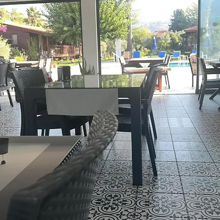 펜션 Defne Olive Gardens, Koca Calis, - Previously Defne 페티예