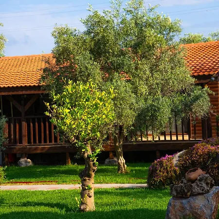 Semesterbostad Defne Olive Gardens, Koca Calis, *