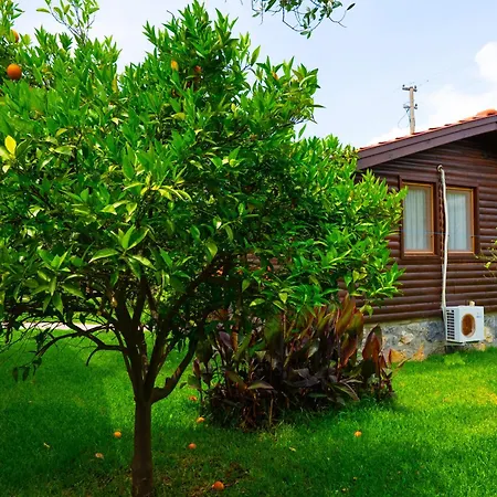 Prázdninový dům Defne Olive Gardens, Koca Calis, - Previously Defne