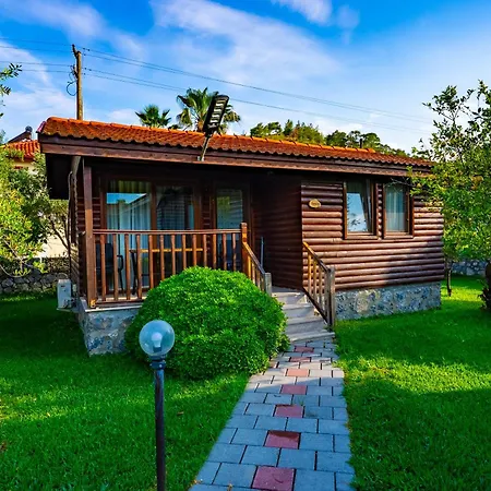 Defne Olive Gardens, Koca Calis, - Previously Defne Fethiye
