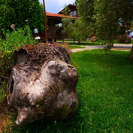 Semesterbostad Defne Olive Gardens, Koca Calis, *