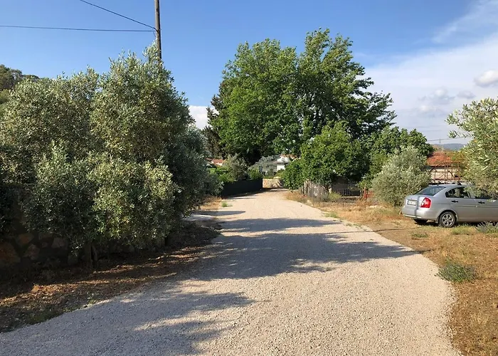 Defne Olive Gardens, Koca Calis, * Fethiye