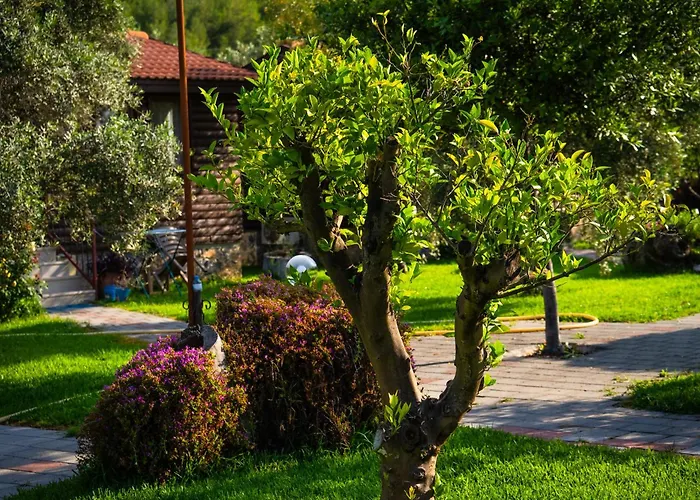 Defne Olive Gardens, Koca Calis, 別荘