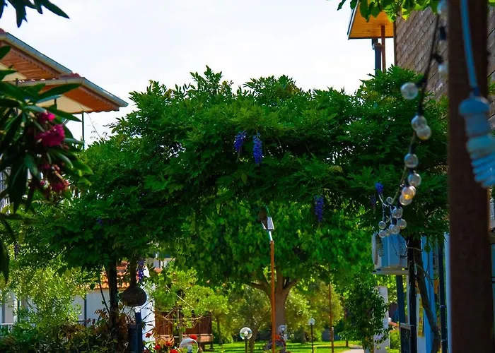 Defne Olive Gardens, Koca Calis, - Previously Defne Feriehus Fethiye