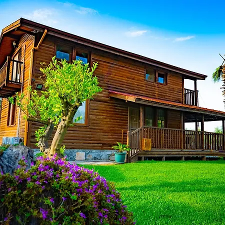 Defne Olive Gardens, Koca Calis, - Previously Defne Holiday home *
